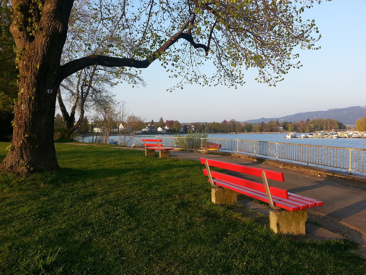 在这些项目 在这些项目