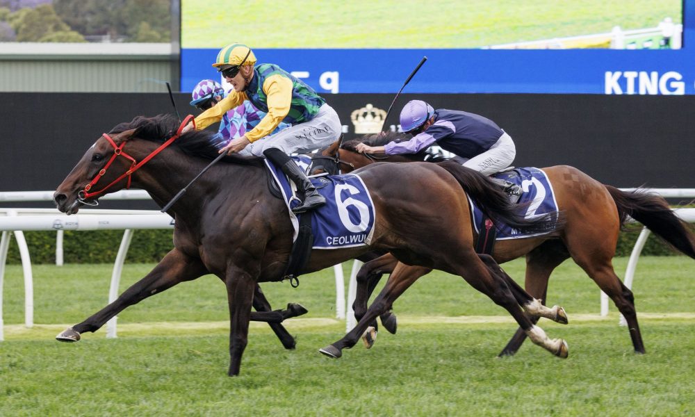 發外交層面 發外交層面